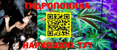 СК Лесосибирск