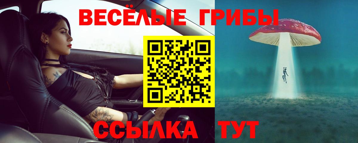 Псилоцибиновые грибы прущие грибы  Вход с VPN  Псилоцибиновые грибы мухоморы  Зерноград 